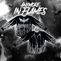 ANIMORE BRUCE